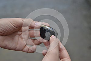 Clams and shells that remain on the rocks of the Cantabrian