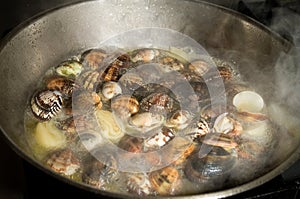 Clams vongole
