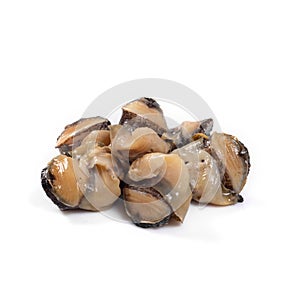 Clams on white background.