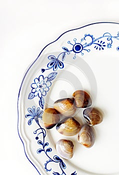 Clams on white plate