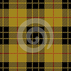 Clan MacLeod Tartan Plaid Seamless Pattern photo