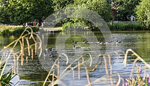 Clapham Commons, London - the pond.
