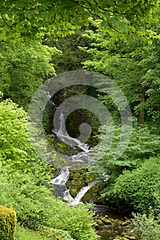 Clapham falls in the Yorkshire Dales photo