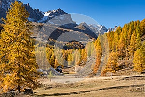 The Claree Valley in autumn and Cerces Massif in the distance. Nevache, Hautes-Alpes, Alps