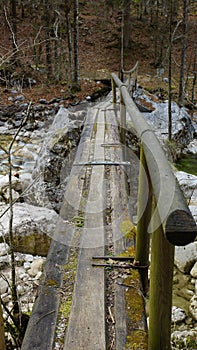 Clarify old wooden bridge for travellers in the wilderness photo