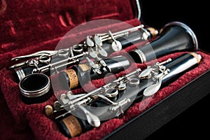 Clarinet in its case
