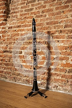 The clarinet within the orchestra is in the woodwind section, along with the flute, oboe, saxophone and bassoon