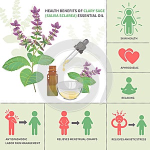 Clary sage Essential Oil Benefits photo