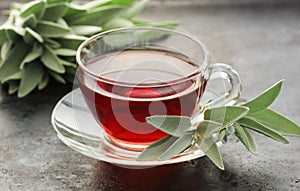 Clary sage tea in a glass cup with fresh leaves on texture black background, green medicine for menopause