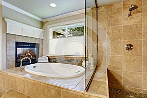 Classic American bathroom with whithe bath tub