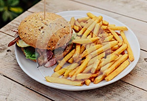 Classic American dish of cheeseburger with fries