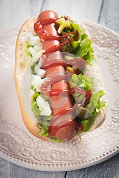 Classic american hot dog