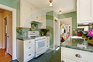 Classic American kitchen room interior in green and white tones