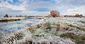 Classic Autumn Landscape With Lonely Orange Oak, Calm River And Frosty Grass And Rime. Frost On The Ground, First Pre-Winter Freez photo