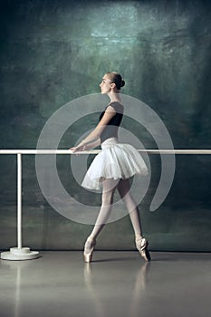 The classic ballerina posing at ballet barre