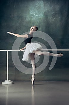 The classic ballerina posing at ballet barre