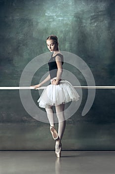 The classic ballerina posing at ballet barre