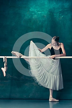 The classic ballerina posing at ballet barre