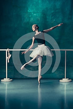 The classic ballerina posing at ballet barre