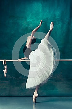 The classic ballerina posing at ballet barre