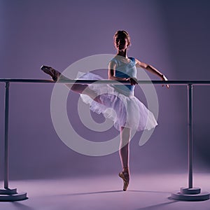 Classic ballerina posing at ballet barre