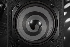 Classic bass speaker