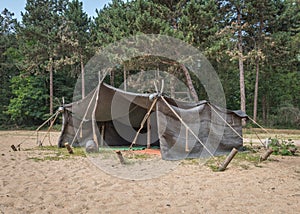 Classic bedouin tent, with green trees in the background