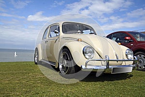 Classic Beetle