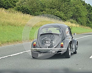 Classic beetle car