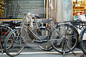 Classic Bicycle