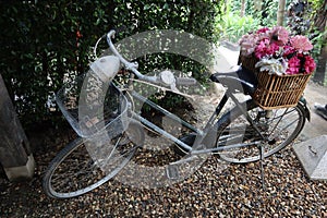 Classic bicycle. Old vintage rusty bicycle in house. Vintage effect.