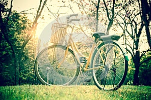 Classic Bicycle at sunset in the park or deep forest