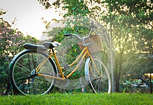 Classic Bicycle at sunset in the park or deep forest