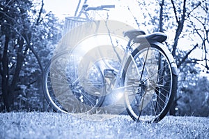 Classic Bicycle at sunset in the park or deep forest