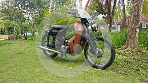 Classic bike on the garden