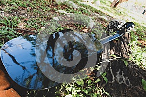 classic black guitar seen from behind on the grass photo