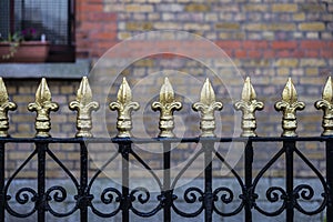 Classic black metal fence with golden tips as background