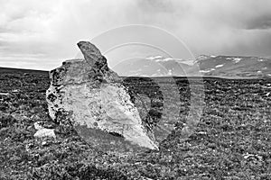 Classic Black and White Mountain Landscape