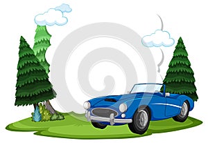 Classic blue car near pine trees