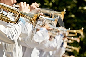 Classic Brass band plays the musical in garden.