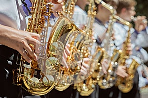 Classic Brass band plays the musical in garden.