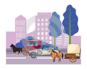 Classic cars and horse carriages vehicles