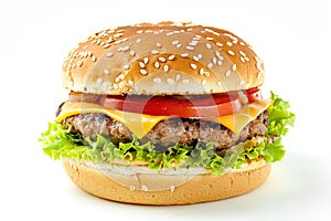 Classic cheeseburger with beef patty, pickles, cheese, tomato, onion, lettuce and ketchup