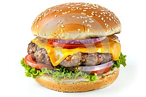 Classic cheeseburger with beef patty, pickles, cheese, tomato, onion, lettuce and ketchup