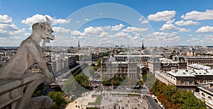 Classic chimera view of Paris from Notre Dame