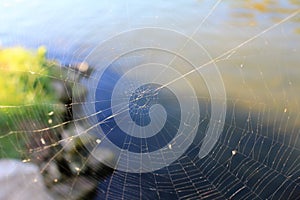 Luxembourg - A closeup photo with a classic circular form of the spider web photo