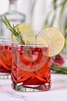 Classic cocktail Pomegranate Paloma