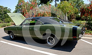 Classic Dodge Charger car