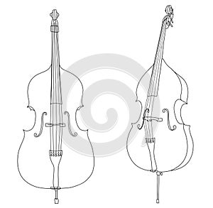 Classic double bass vector isolated on white background