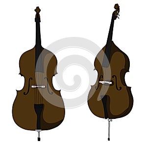 Classic double bass vector isolated on white background